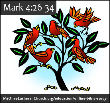 bibleStudy-Mark4 26-34