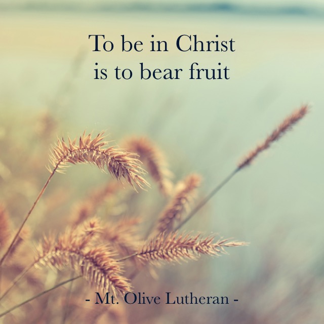 quote bearFruit