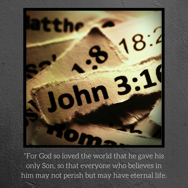 quote john3 16