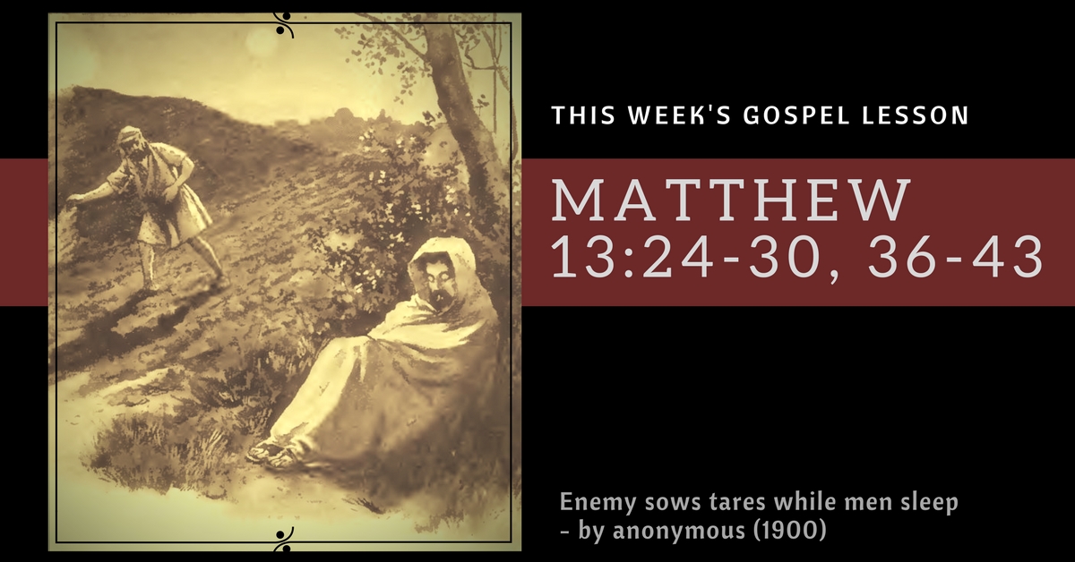 biblestudy Matthew13 24 30 36 43 fb